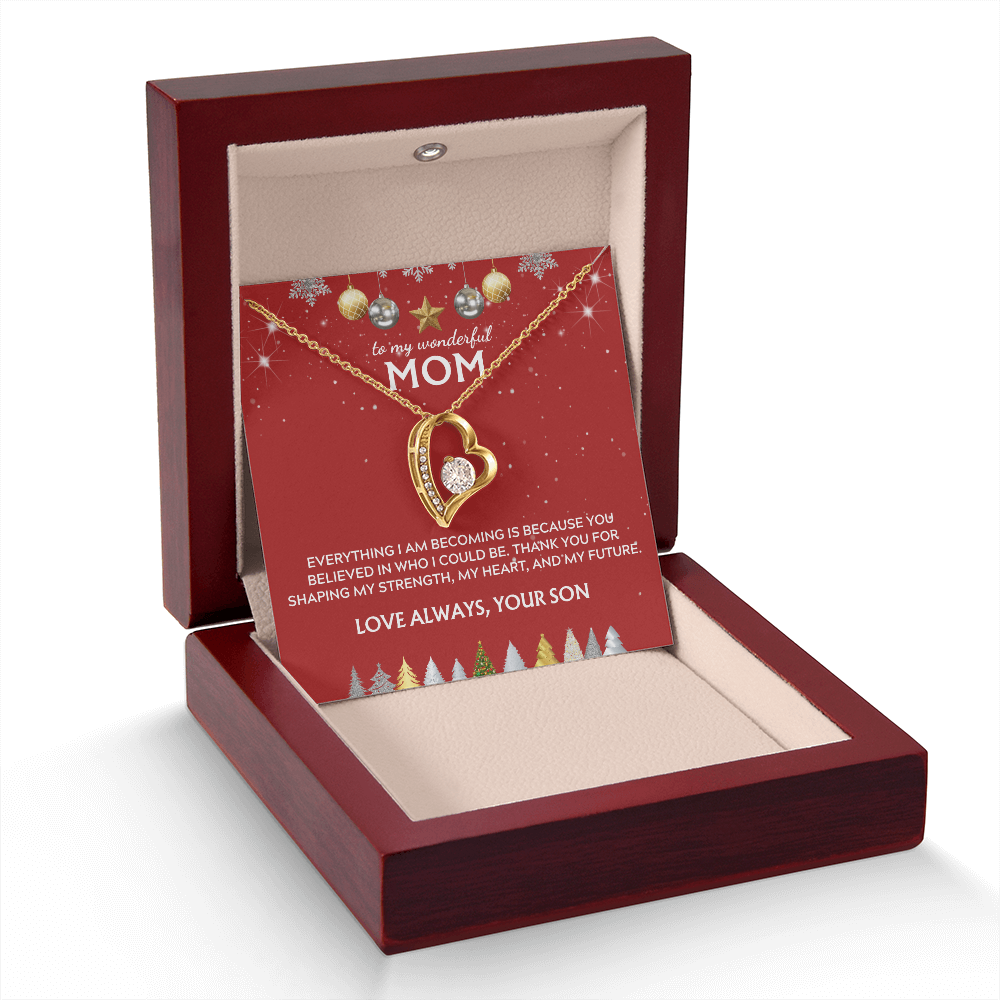 To Mom, from Son. Thank you for believing in me. Holiday card.