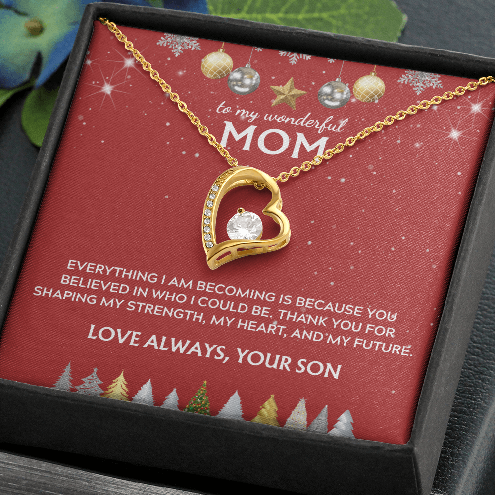 To Mom, from Son. Thank you for believing in me. Holiday card.